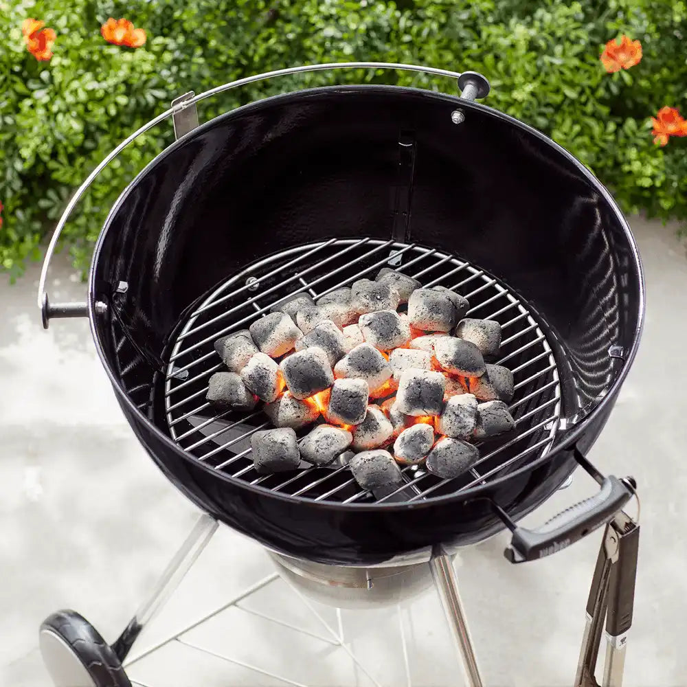 Charcoal Grate