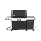 Summit® Smart FS38X E Gas Grill
