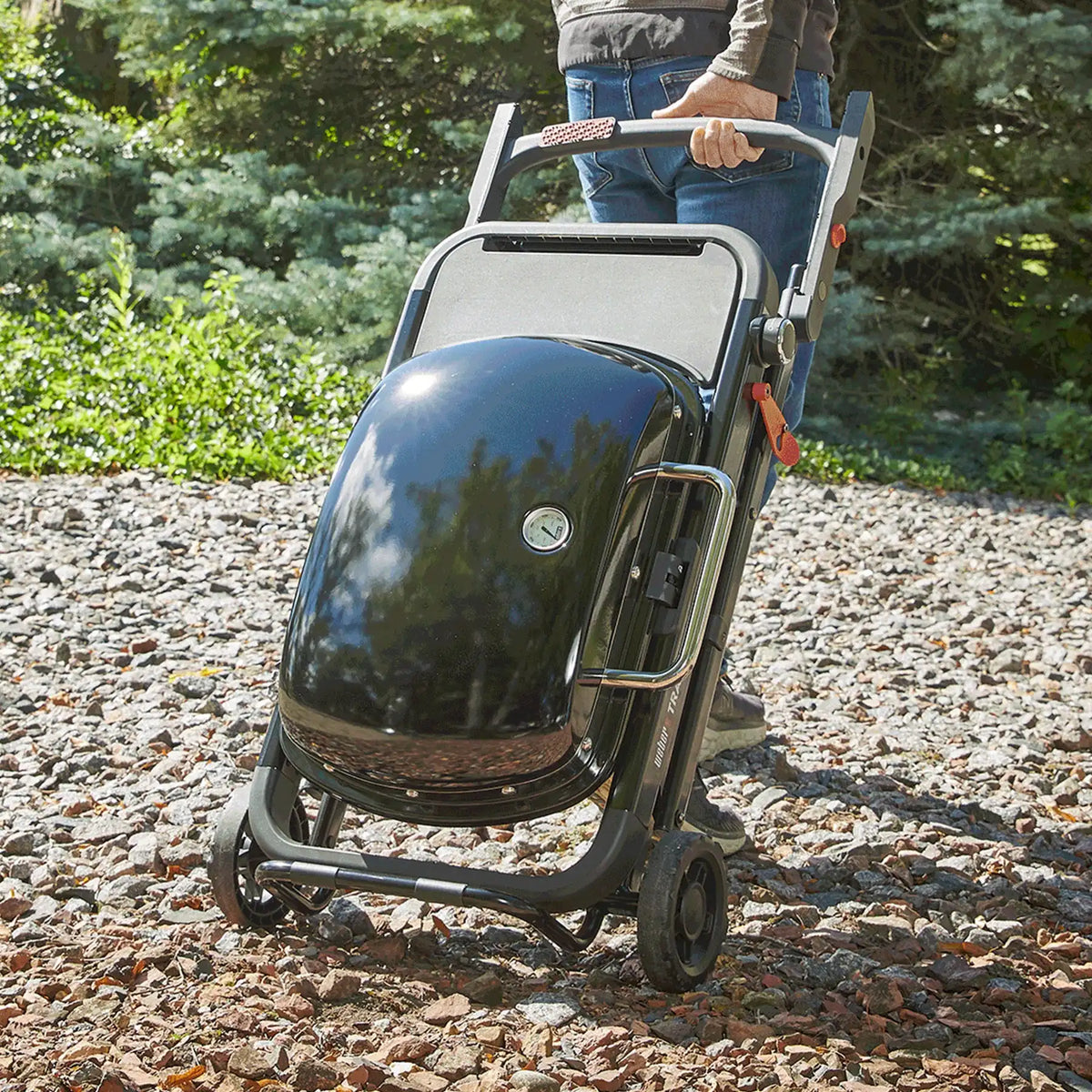 WEBER TRAVELER® Portable Gas Grill