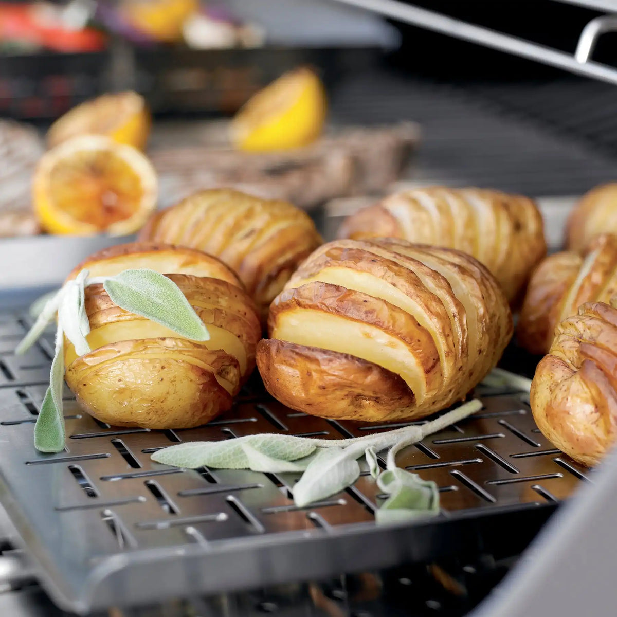 Deluxe Grilling Pan