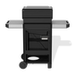Spirit® E-310 Gas Grill