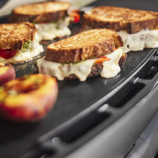Q 2800N+ Gas Grill with Stand